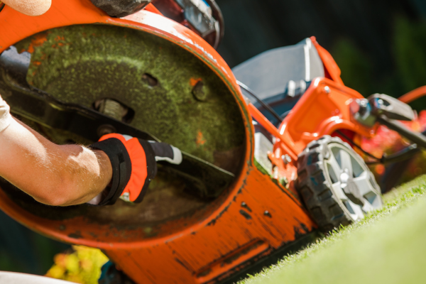Warren small engine repair sale